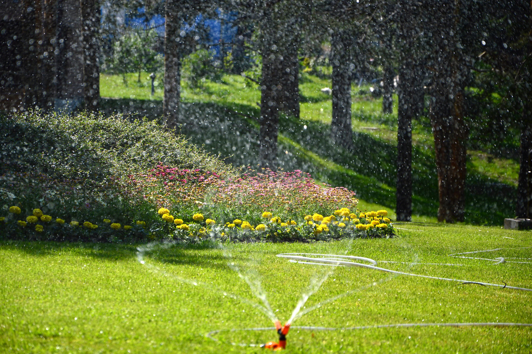 Sprinkler irrigation